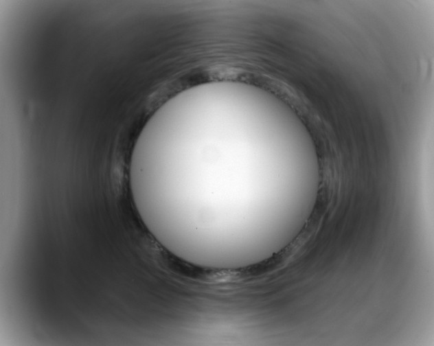 X0000088890761200706080806