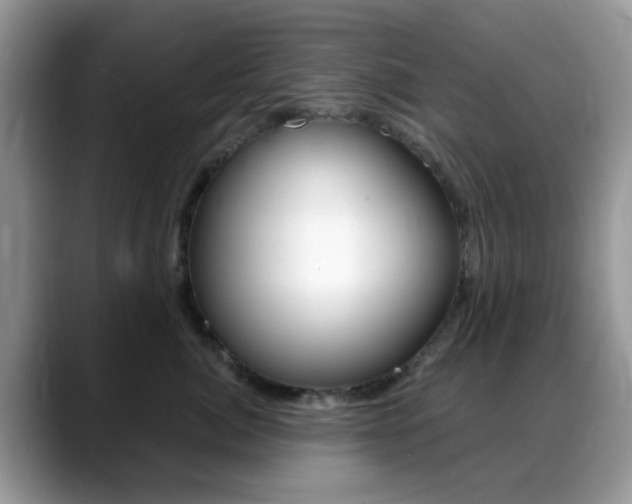 X0000088890764200706080806