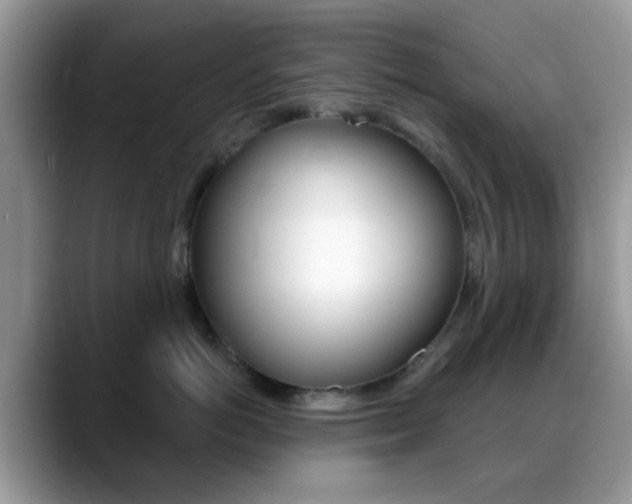 X0000088890766200706080806
