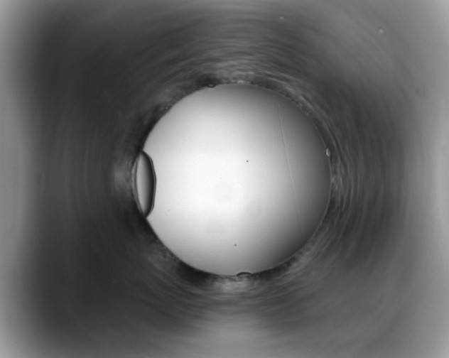 X0000088890767200706080806
