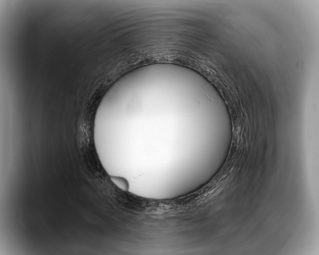 X0000088890772200706080806
