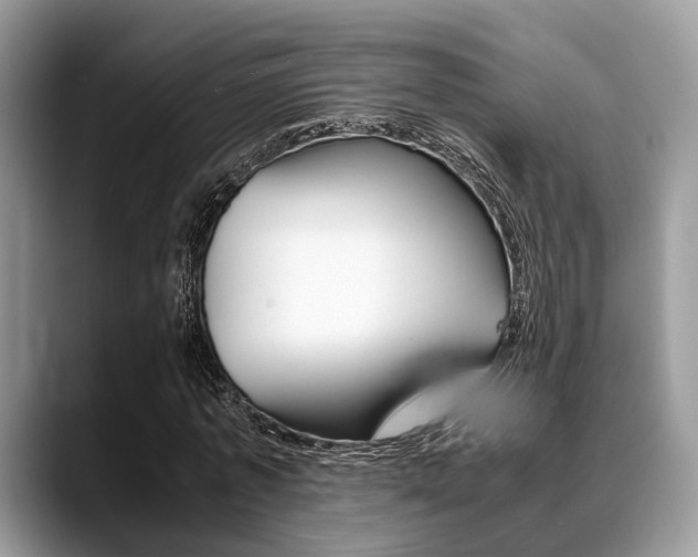 X0000088890773200706080806