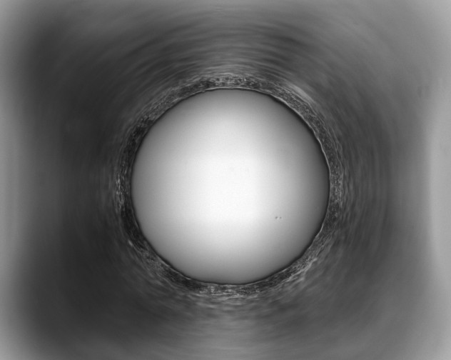 X0000088890774200706080806