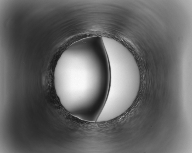 X0000088890776200706080806