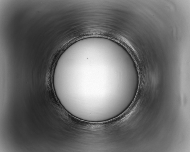 X0000088890778200706080806