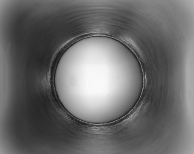 X0000088890780200706080806