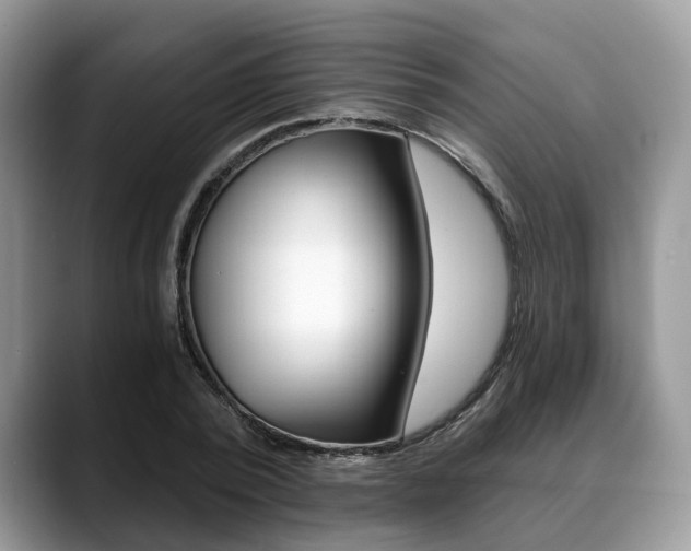 X0000088890784200706080805
