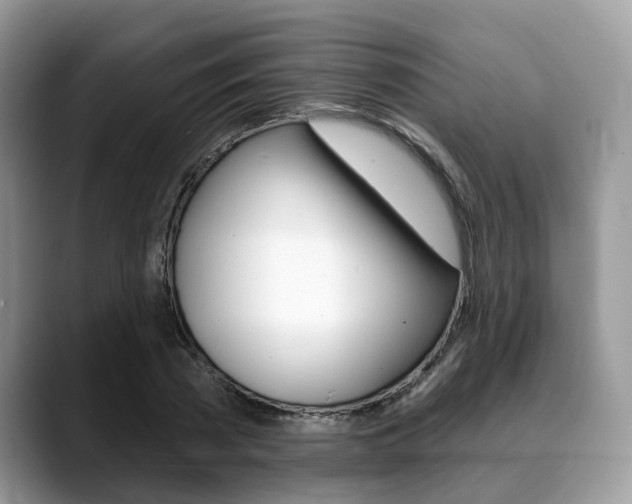 X0000088890785200706080805