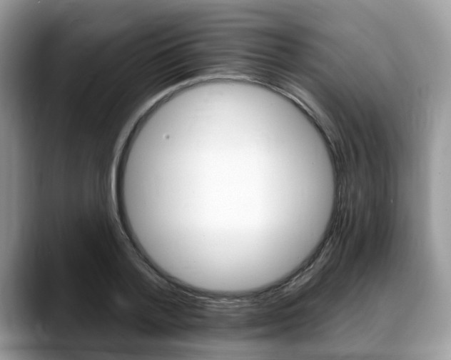 X0000088890788200706080805