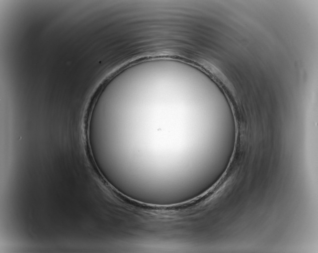 X0000088890789200706080805