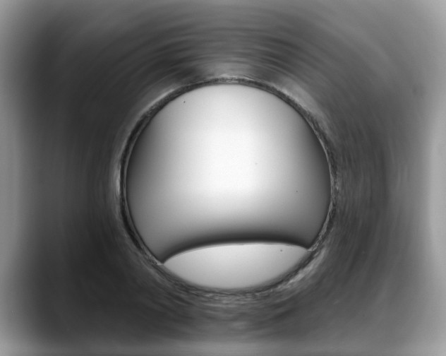 X0000088890790200706080805