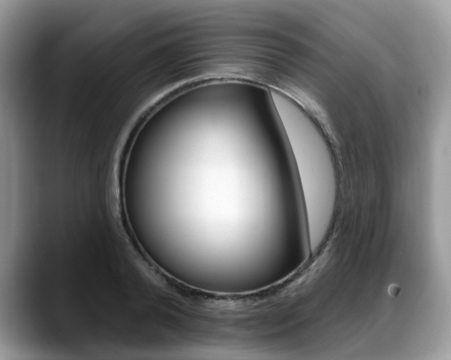 X0000088890792200706080805