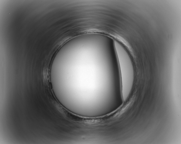 X0000088890793200706080805
