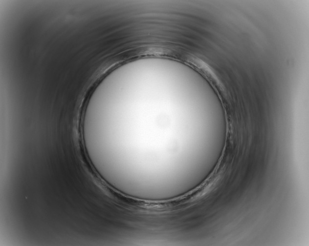 X0000088890794200706080805
