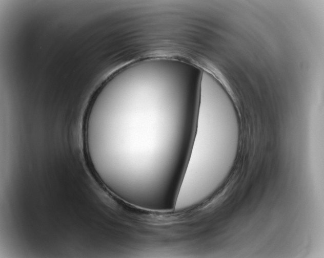 X0000088890795200706080805
