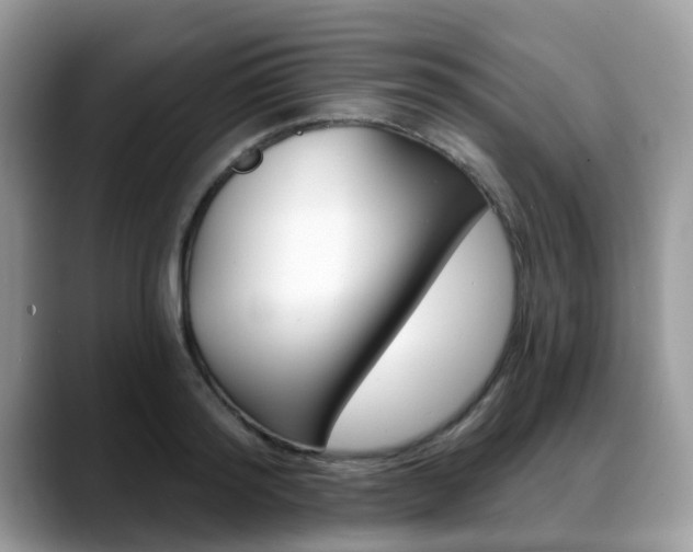 X0000088890796200706080805