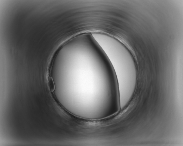 X0000088890797200706080805