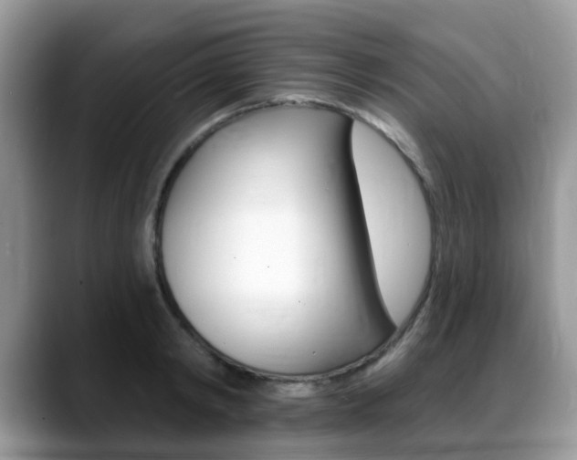 X0000088890798200706080805