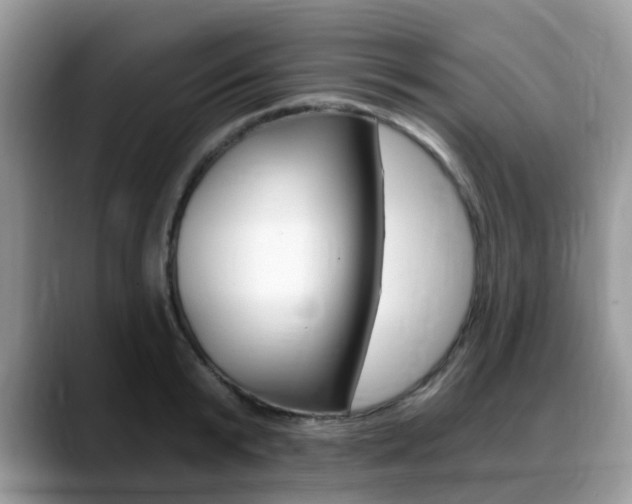 X0000088890799200706080805