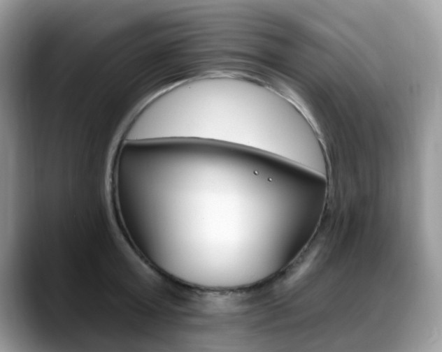 X0000088890803200706080805