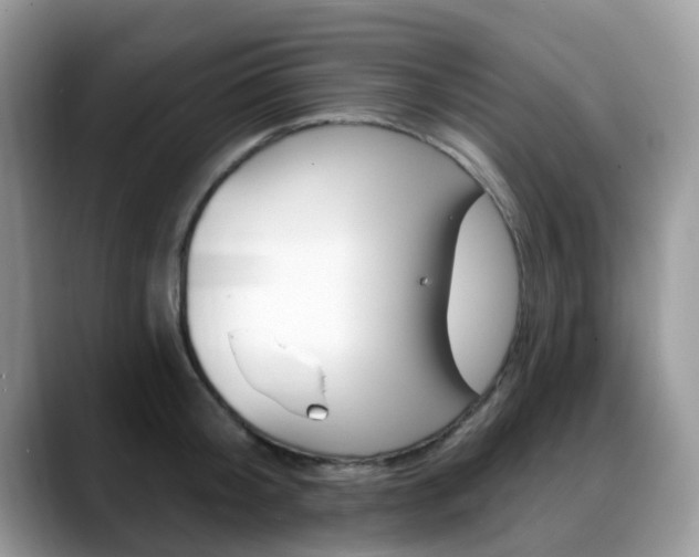 X0000088890804200706080805