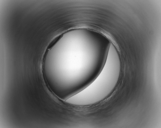 X0000088890805200706080805
