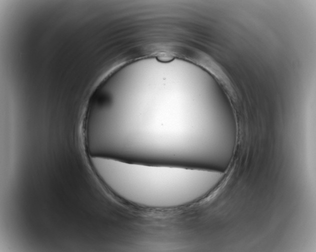 X0000088890806200706080805
