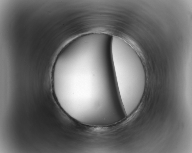 X0000088890808200706080805