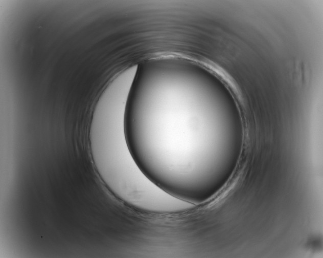 X0000088890809200706080805
