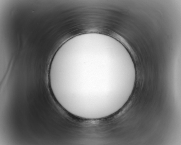 X0000088890810200706080805