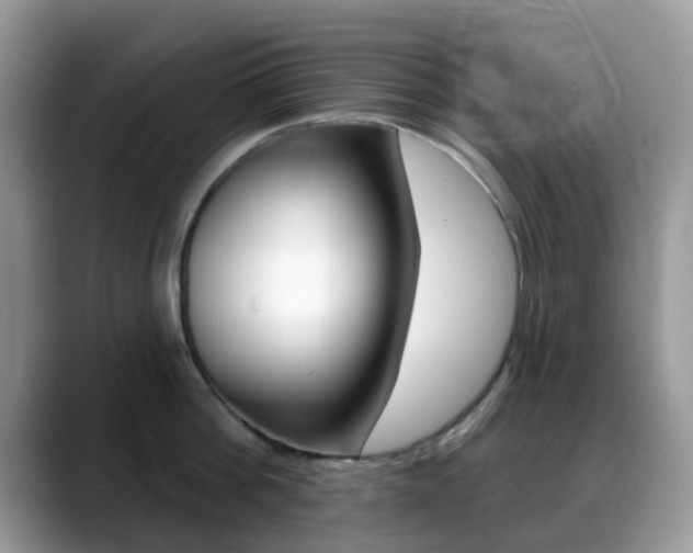 X0000088890812200706080805