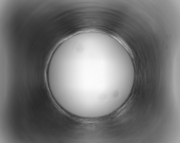 X0000088890813200706080805