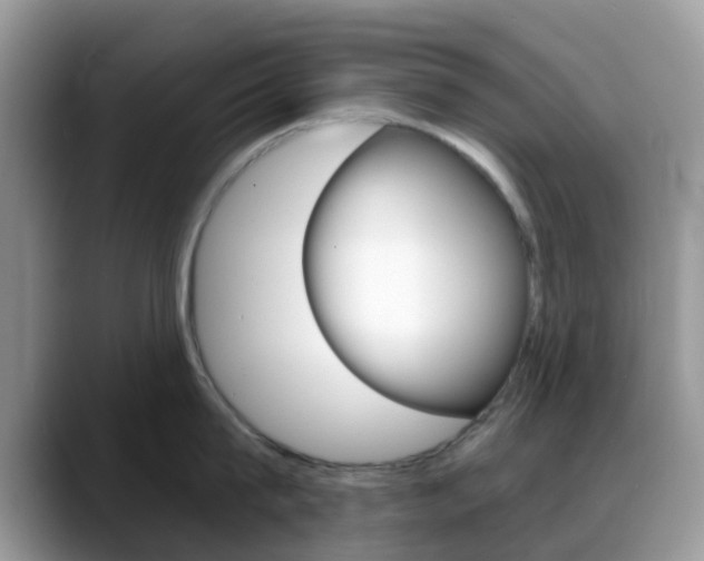 X0000088890815200706080805