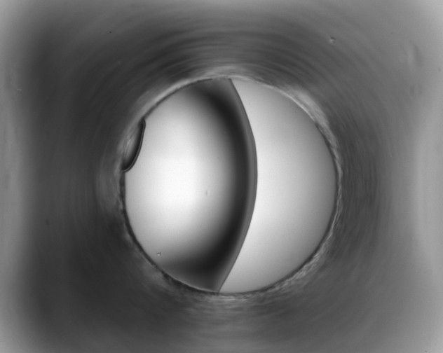 X0000088890816200706080805