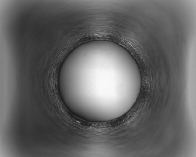X0000088890817200706080804