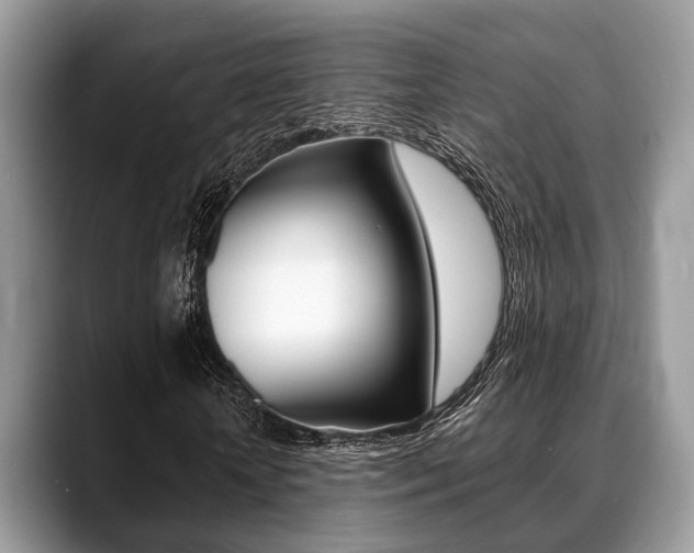 X0000088890818200706080804