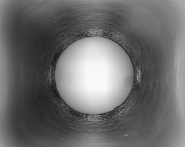 X0000088890819200706080804