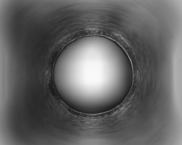 X0000088890821200706080804