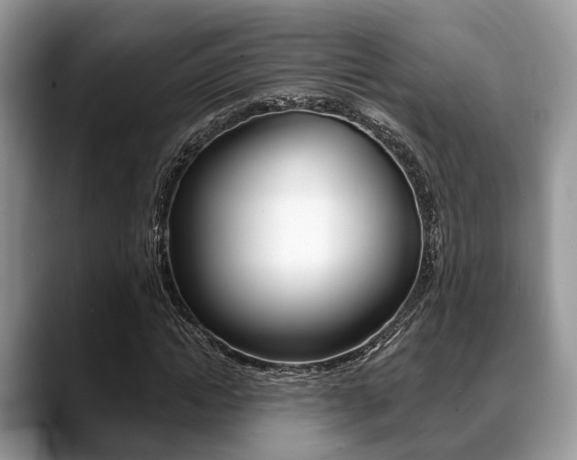 X0000088890822200706080804