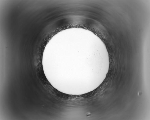 X0000088890824200706080805