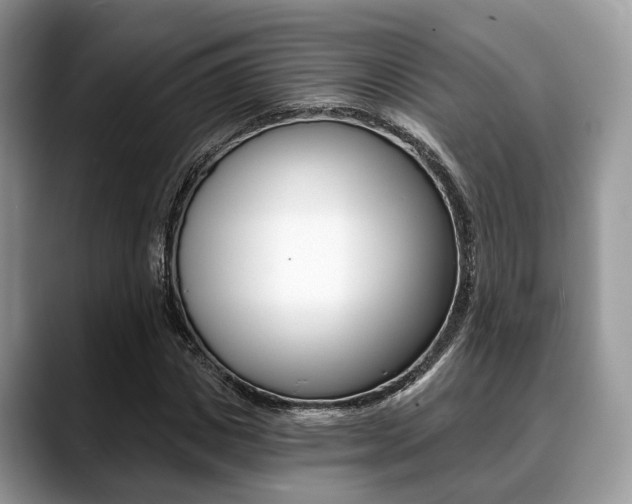 X0000088890825200706080805