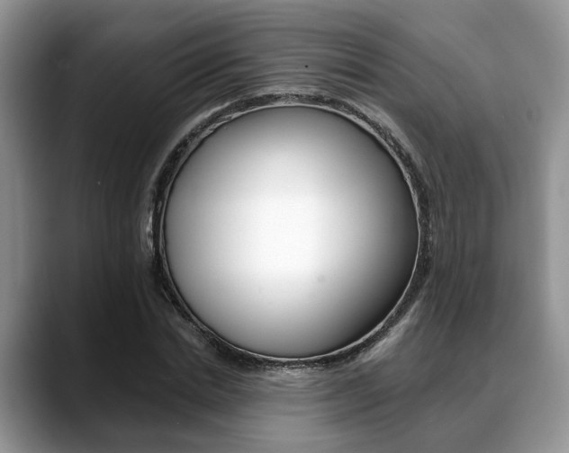 X0000088890830200706080805