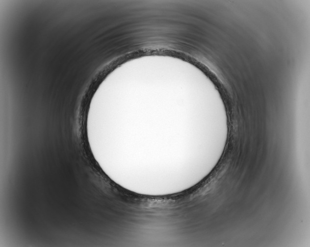 X0000088890832200706080805