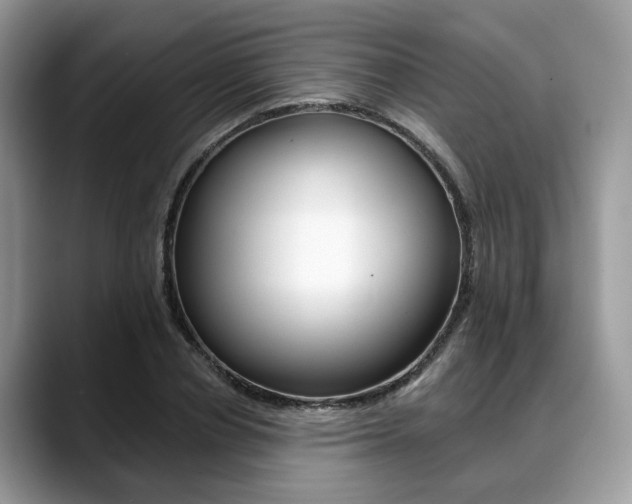 X0000088890834200706080805