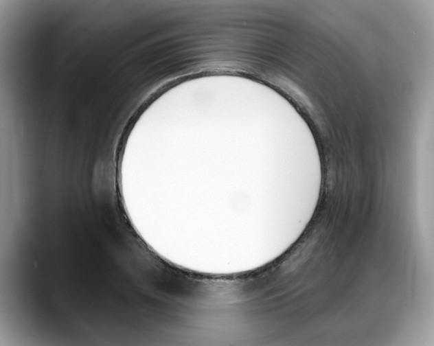 X0000088890836200706080805