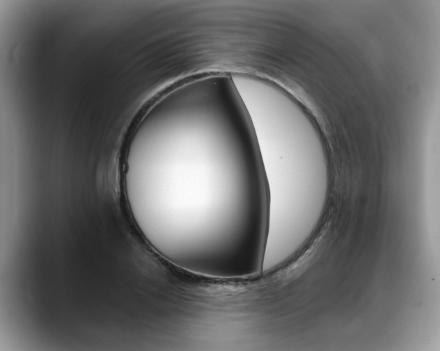 X0000088890838200706080805