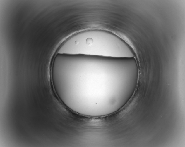 X0000088890839200706080805