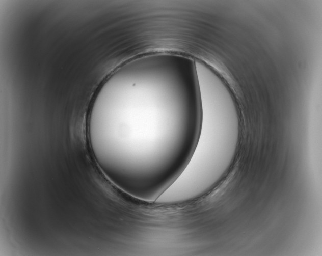 X0000088890842200706080805