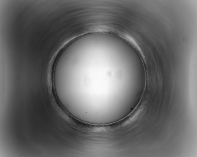 X0000088890843200706080805