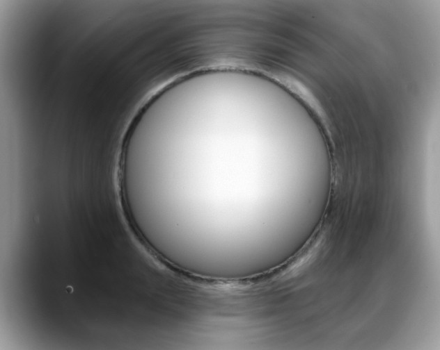X0000088890847200706080805
